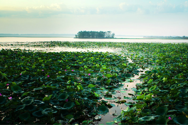 龙泉湖美景